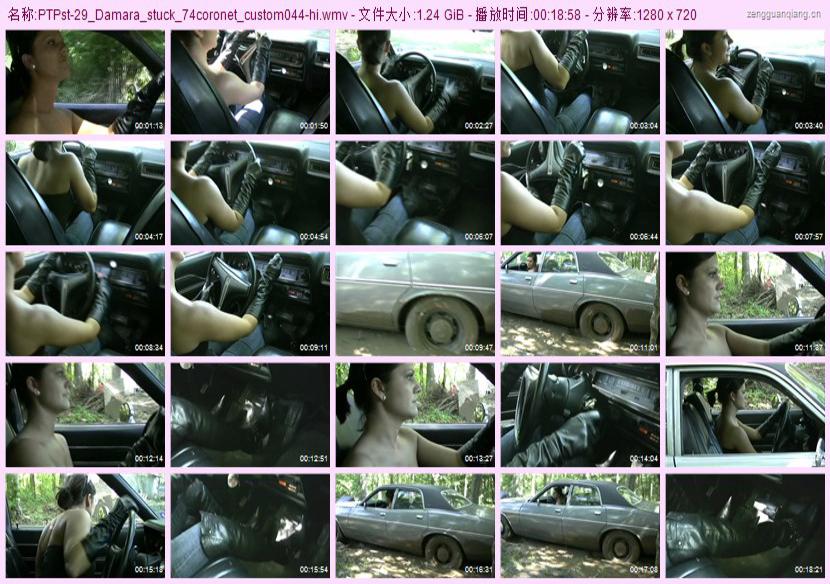 ptpst-29_Damara_stuck_74coronet_custom044